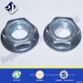 Zinc Galvanized Carbon Steel DIN6923 Flange Nut